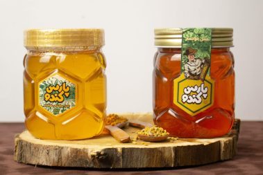 Rongfmy Pot à Miel Transparent, Pot à Miel en Verre avec Trempette et Couvercle, Bouteille de Miel en Verre