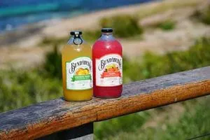 beverage bottle manufacturer