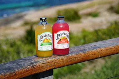 beverage bottle manufacturer