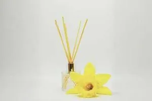 glass diffuser bottles