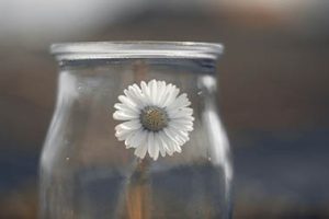 bulk small glass jars