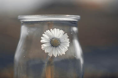 bulk small glass jars