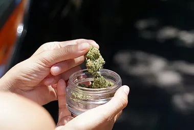 weed jars wholesale