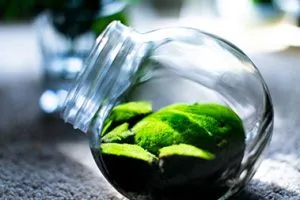 glass storage jar manufacturer