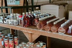 glass maple syrup bottles